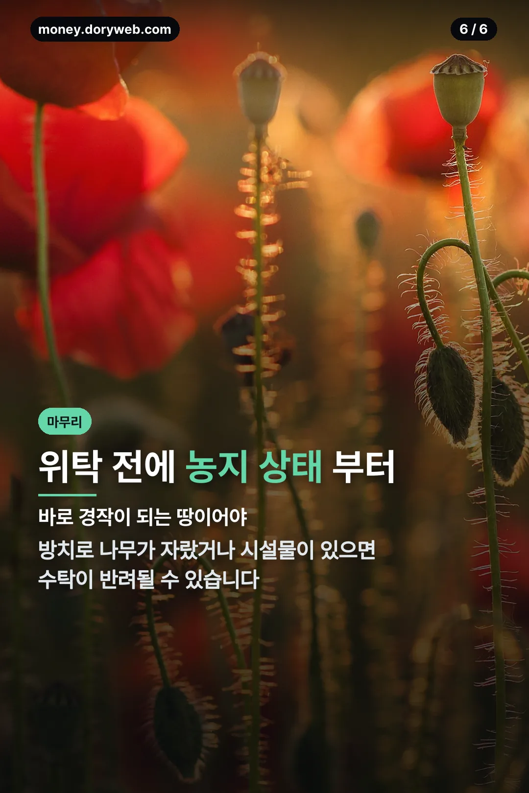 농지 상태 점검 마무리