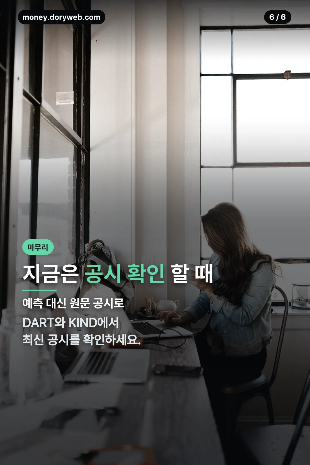 공시 확인 안내